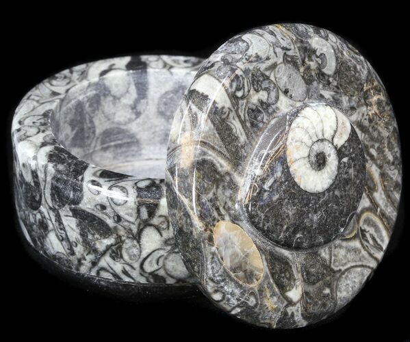 Small Fossil Goniatite Jar (Black) - Stoneware #38006